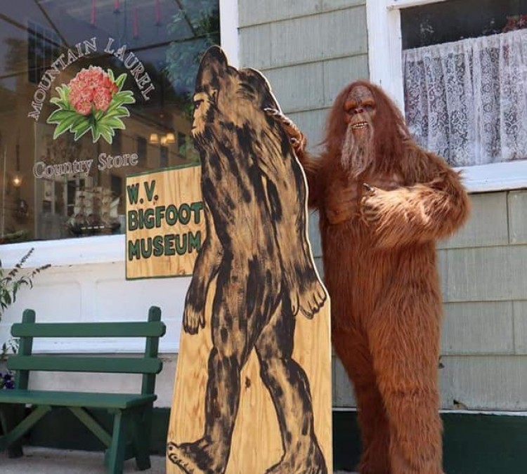 the-west-virginia-bigfoot-museum-photo